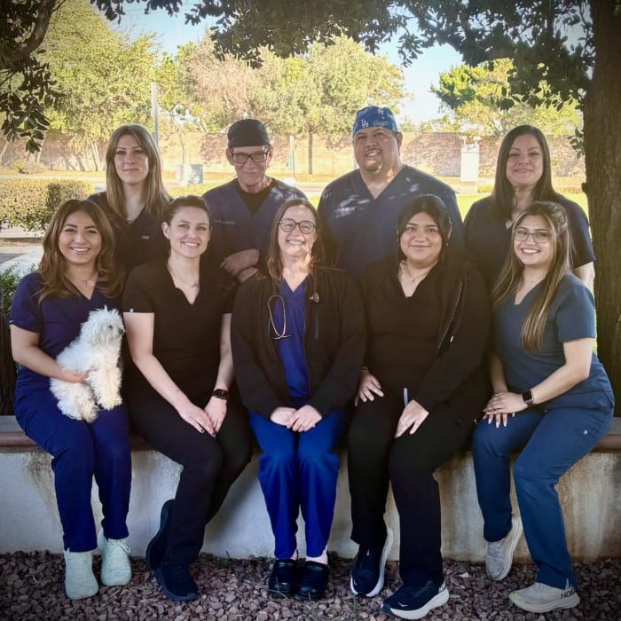 Surgical Service | Veterinary Medical and Surgical Group (VMSG) | Vet in Ventura | Serving the Ventura